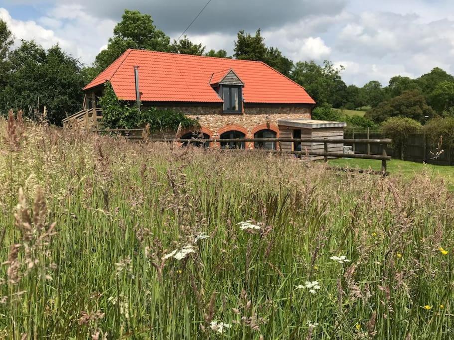 Villa Burleyhayes Barn - Secluded Devon Hideaway. Hemyock Esterno foto