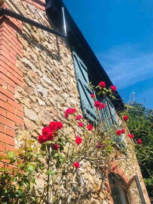 Villa Burleyhayes Barn - Secluded Devon Hideaway. Hemyock Esterno foto